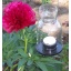 Latern mummudega