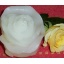 Küünal Roos, väike valge 8cm